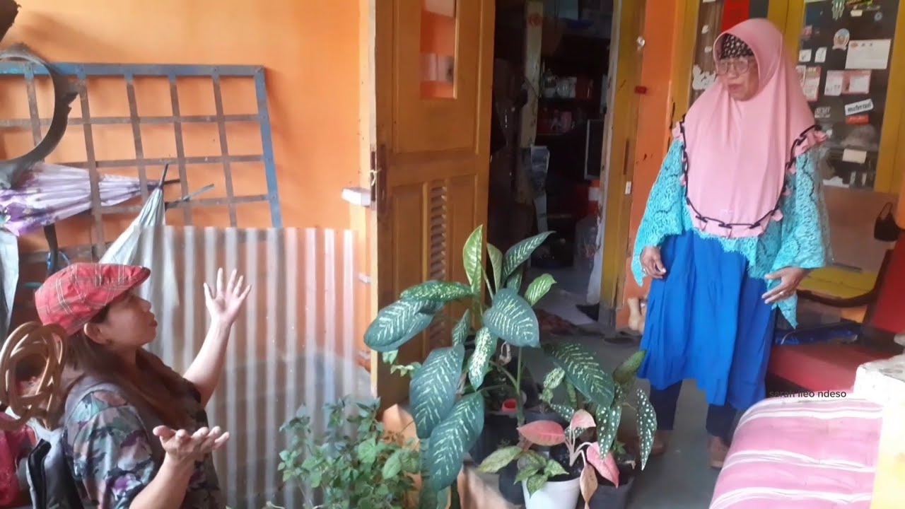 TEMU KANGEN DENGAN BUDE MALAH DISURUH JEMUR KASUR KAPUK WARNA MERAH MUDA