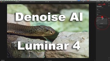 How to Use DENOISE AI as a LUMINAR 4 Plugin