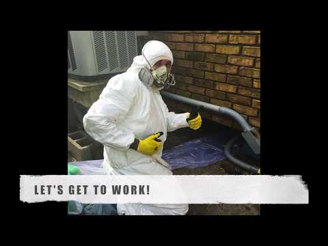 Moisture, Mold, and Buckling Floors. St. Tammany Parish, Slidell, LA