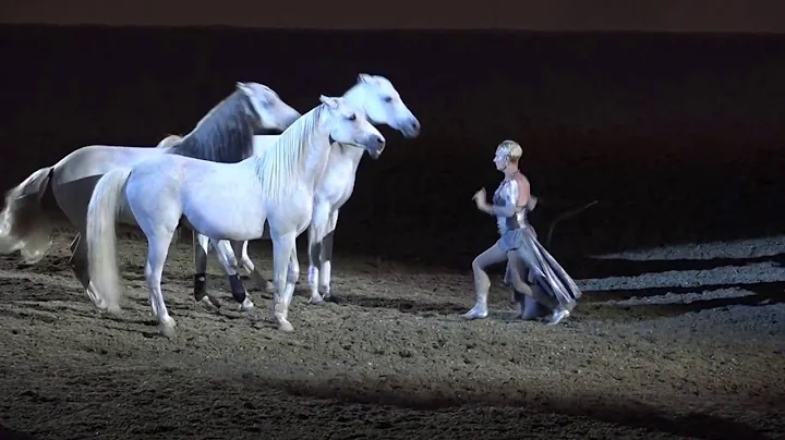 Liberty with 3 horses - Sylvia Zerbini - Night of ...