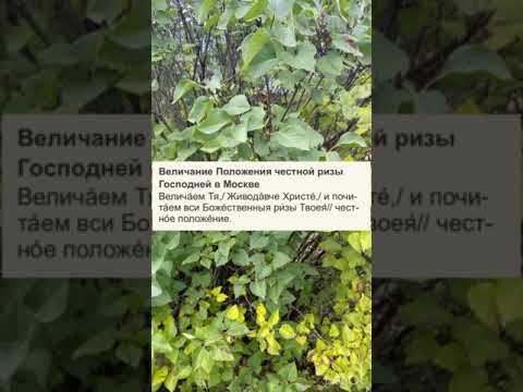 Величание Положению честной