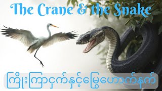 The Crane and the Snake (ကြိုးကြာငှက် နှင့် မြွေဟောက်နက်)