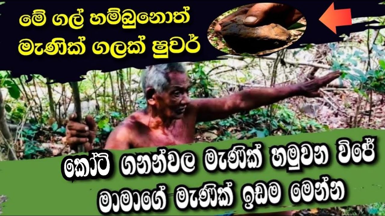 මේ ගල් හම්බුනොත් මැණික් ගලක් ෂුවර් ' ඔක්කම්පිටිය විජේ මාමාගේ මැණික් ඉඩම මෙන්න |SRILANKA