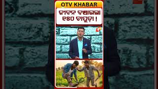 ଜୀବନ ବଞ୍ଚାଇଲା ୧୫୦ ଚାପୁଡ଼ା ! #OTVShorts #SnakeBite #SnakeAttack #SnakebiteSurvivor #UttarPradesh