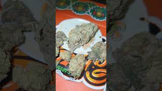 Grandaddydanks stash rsosos review multiple packs of weed