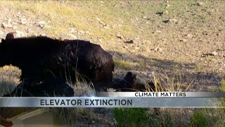 CLIMATE MATTERS: Elevator Extinction in Arizona
