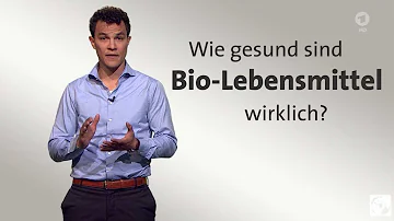 Wie gesund ist Bio Hackfleisch?