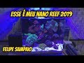 Esse  meu nano reef 2019 36  felipe sampaio