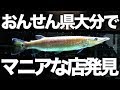 おんせん県大分で発見したマニアックな熱帯魚店 【大在魚見館】