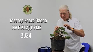 Мастер класс Паоло на Орхидиуме 2024 @Studio.Bonsai