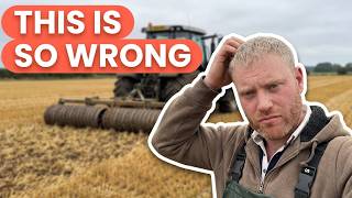 ALFALFA BALES & SURPRISE COVER CROPS!