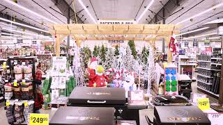 Butte Ace 6 Holiday
