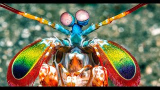 Nature s creations that will amaze you beyond belief!