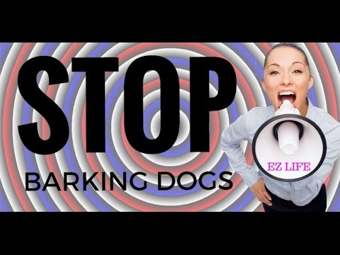 bark-stop-cd-stops-barking-dogs-2017-~-stop-neighbors-barking-dogs!