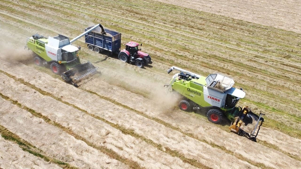 Claas Lexion 770 and 750 Harvesting Grass Seed YouTube