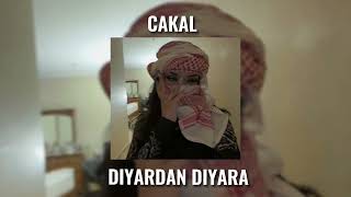 Cakal-Diyardan Diyara (Speed up) Resimi