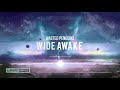 Wasted Penguinz - Wide Awake [HQ Edit]