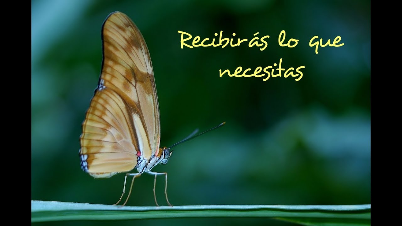 LOS OBSTÁCULOS TE HACEN FUERTE. Lunes XV semana del Tiempo Ordinario, ciclo C (Mt 10,34-11,1) meditacion para principiantes