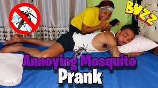 Mosquito Prank On Boyfriend || Annoying Prank || Mosquito sound