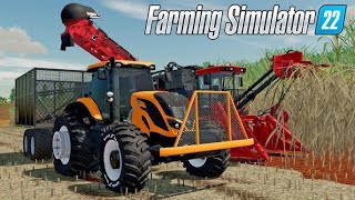 COLHETA DE CANA!!!FS 22 RUMO AO MILHAO!!