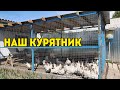 КУРЯТНИК 2021 своими РУКАМИ/ Легко построить самому КУРЯТНИК ДЛЯ НЕСУШЕК