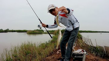 Câu cá bống đục với thẻo câu 3, hướng dẫn buộc luôn #instructions for tying sentences 3