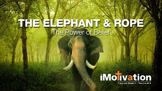 Information The Elephant and the Rope story | The Power of Belief News