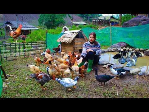 Building a new life episode 17 | Build farms, raise livestock and grow