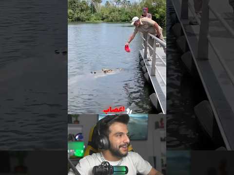حمله تمساح به انسان  حیوانات  تمساح