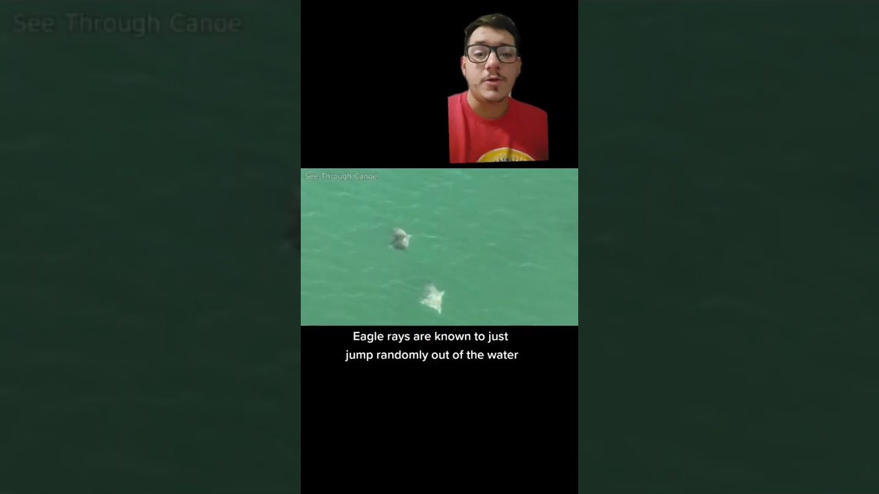 Why do fish randomly jump?