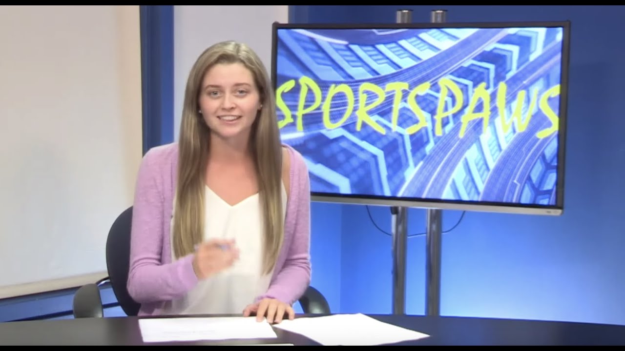 quinnipiac baseball Sports Paws: 09/03/19