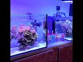本日撮影しました