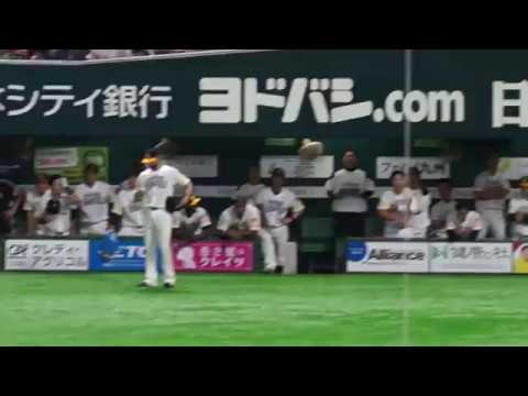 日本シリーズ2017第6戦：9回ウラ内川選手同点ホームラン直後の様子を撮影してみた