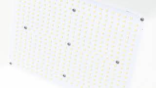 Floodlight - 200 W – LED, 28000 - 30000 Lumens #D1152058