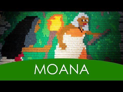 Moana in 62,000 Dominoes [full story]