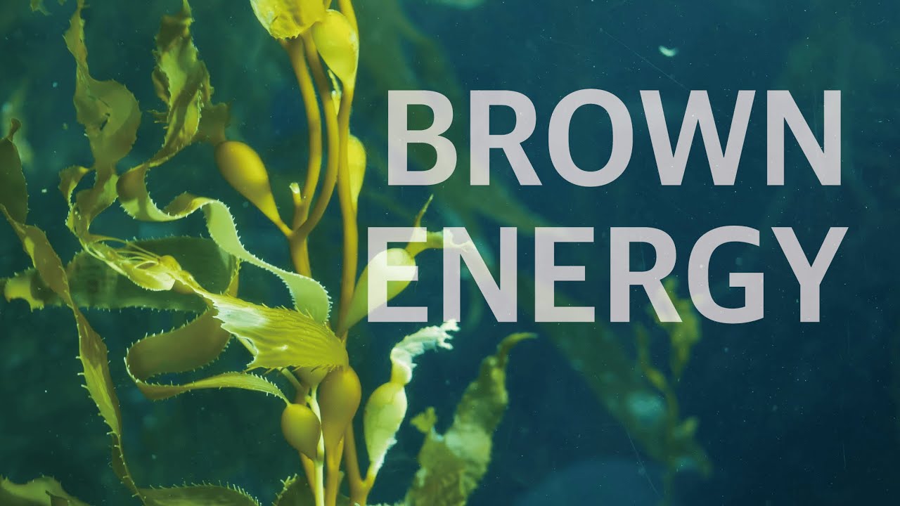 Brown energy / 원료소개 / ENG YouTube