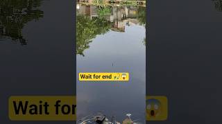 hook fishing 🎣😱#fishing #fish #shorts #shortvideo #hookfishing