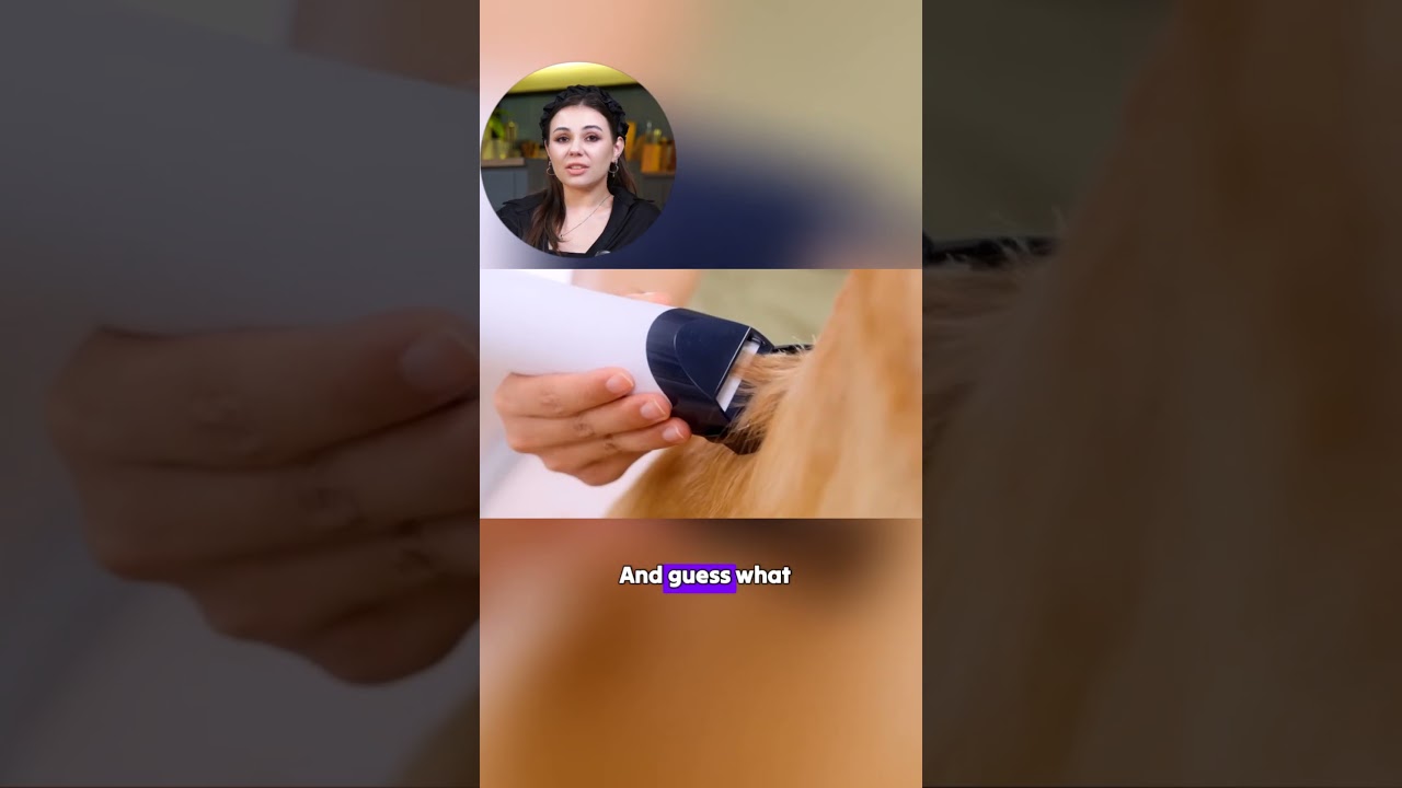 Deshedding Dog Bath Brush Review: Ultimate Curry Brush for Short-Hair Dogs