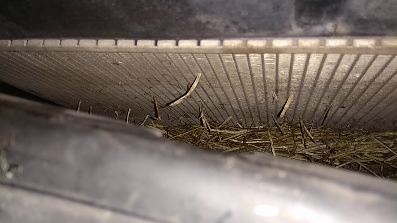 Когда часто включается вентилятор радиатора или как быстро убить ДВС ...