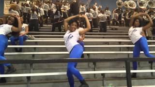 JSU J-settes 2014 (Hoe check 2) Southern