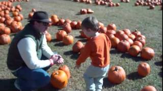 Pumpkin Patch Oct 2010