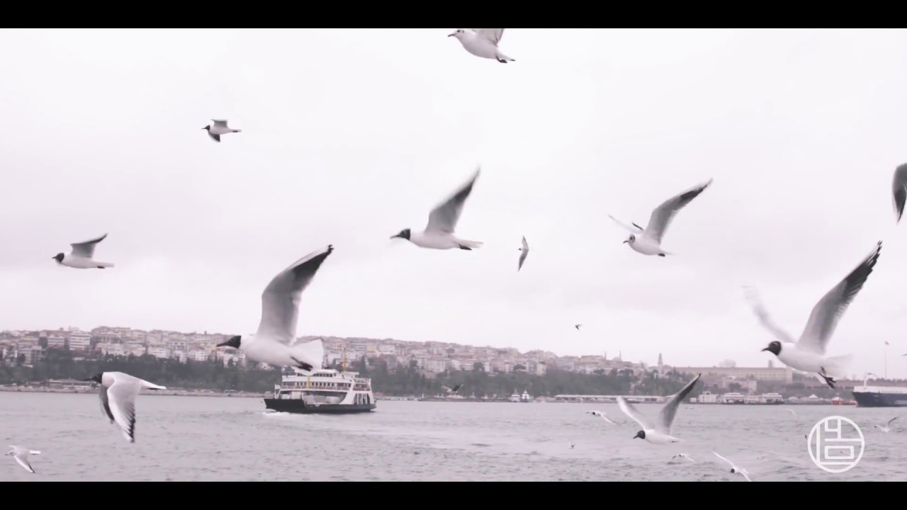 Global EP 01 Ottoman Palace Cuisine | Made In Istanbul | Madein+