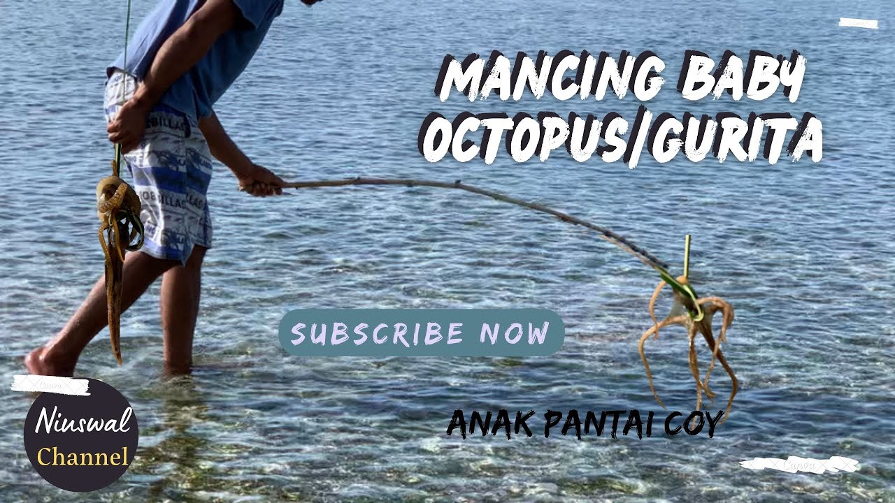 Tutorial Memancing Baby Octopus/Gurita