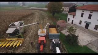 Ultima Trebbiatura 2016, Mais Precocissimi Dopo Frumento