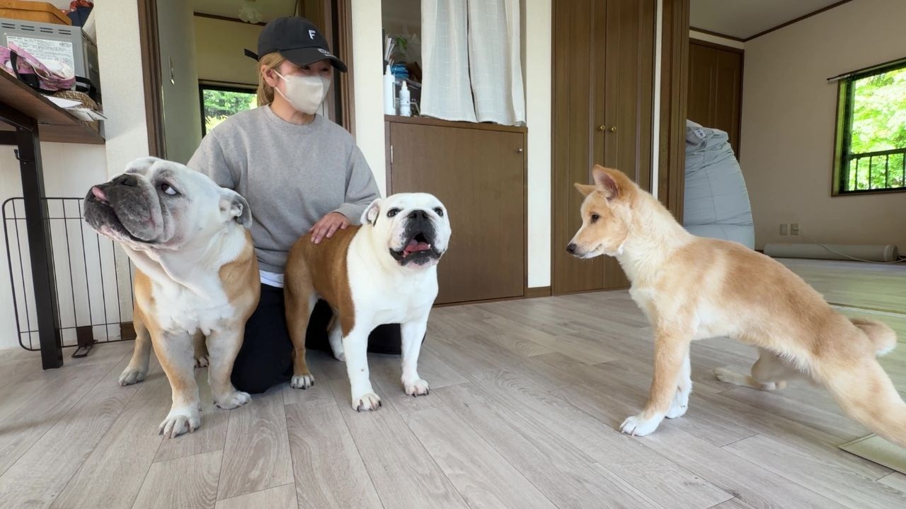 10日ぶりにママが帰ってきた！その時の様子がこちら♪