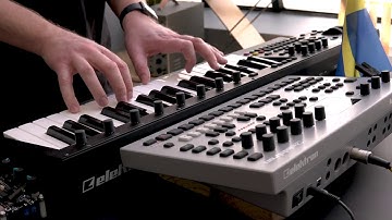 Elektron Analog Four MKII Sounds - No Talking - Keys