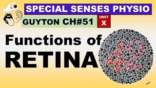 Ch#51 Physiology Guyton | Special Senses | Neural Functions of RETINA | Physiology Lectures