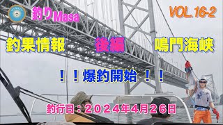 釣果情報 鳴門海峡 爆釣開始！！