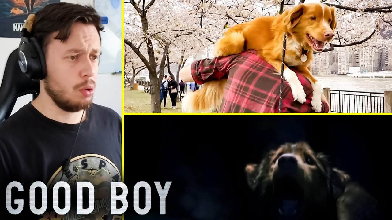 Good Boy Official Trailer REACTION