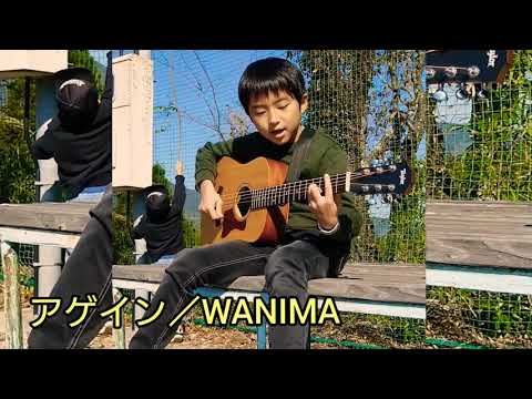 WANIMA／アゲイン【弾き語り】【cover】 ブルブラ